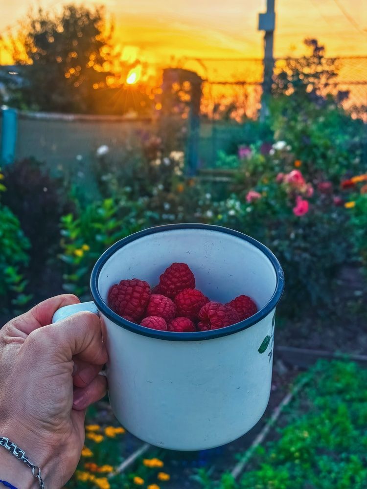 Photograph by Артем Гатин