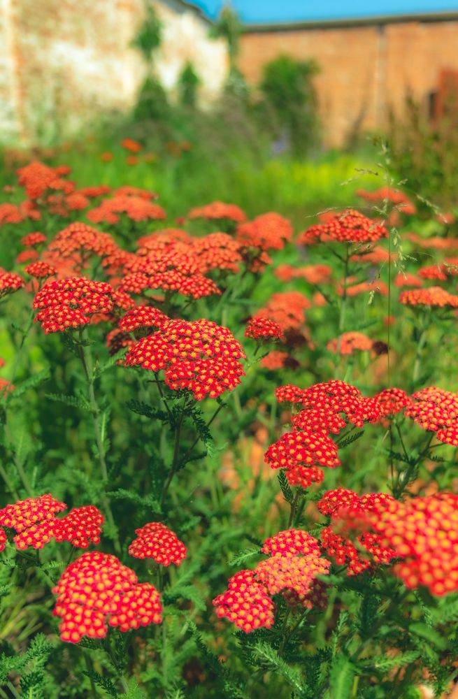 Photograph by Сергей Аникушин