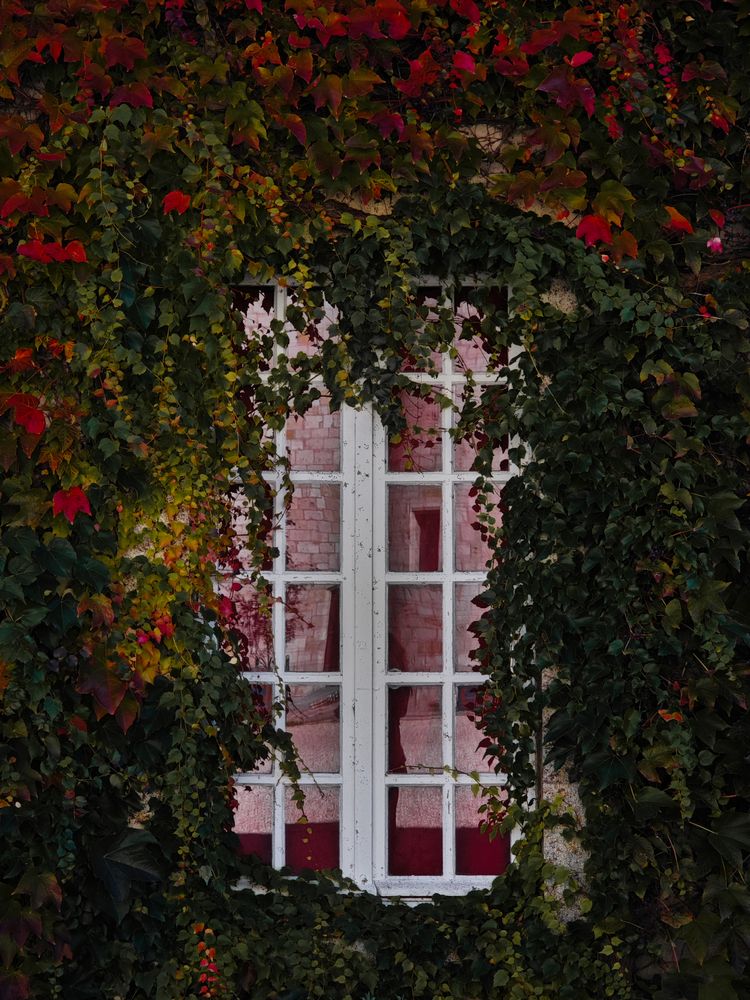 Photograph by Александра Шилова