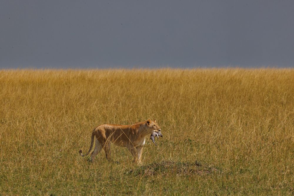 Photograph by Елена Подерегина