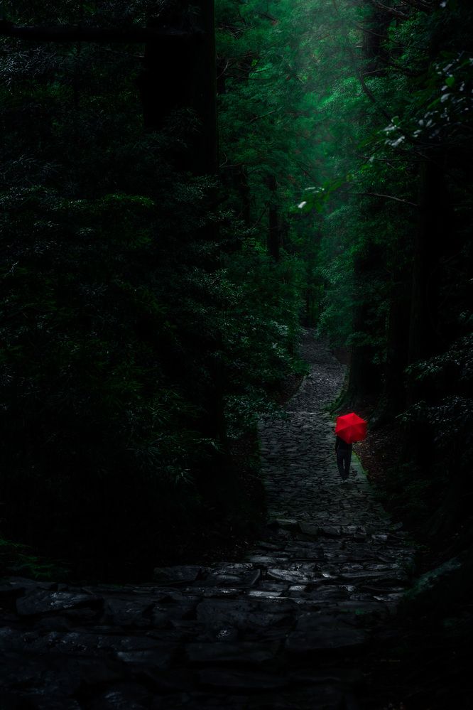 The way home on a rainy day