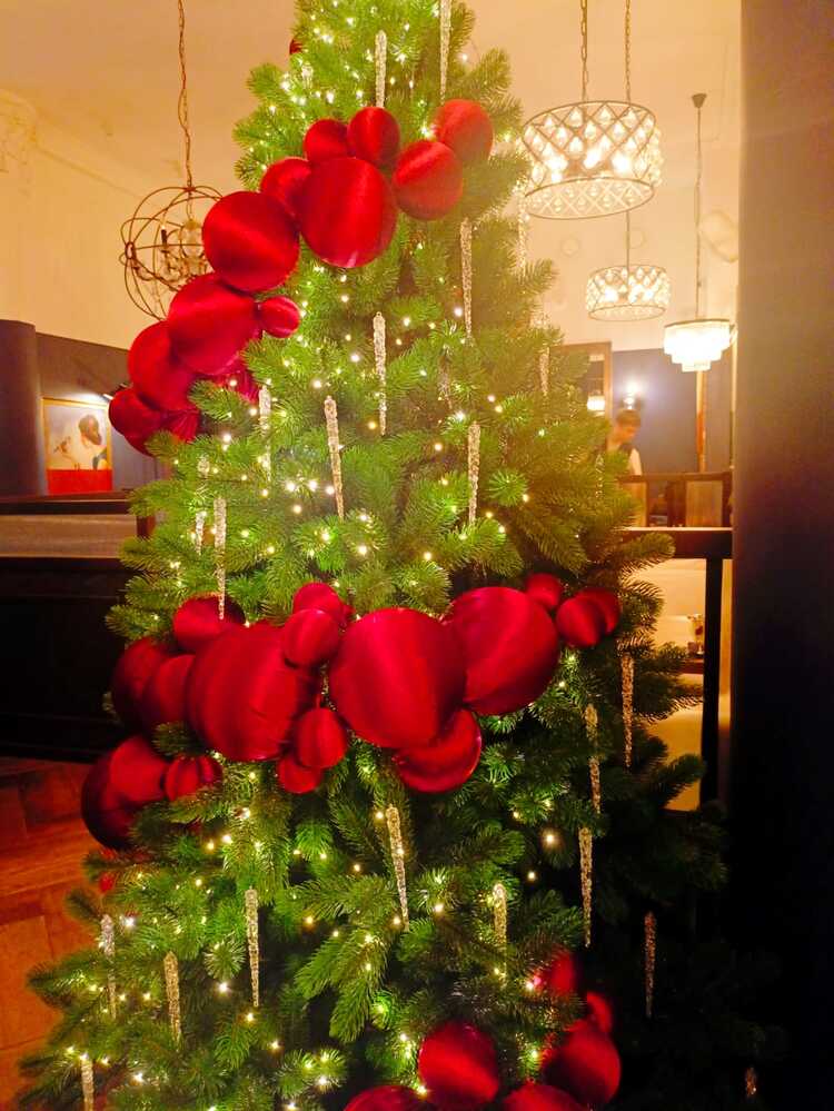 Фотография автора Софья Копейкина