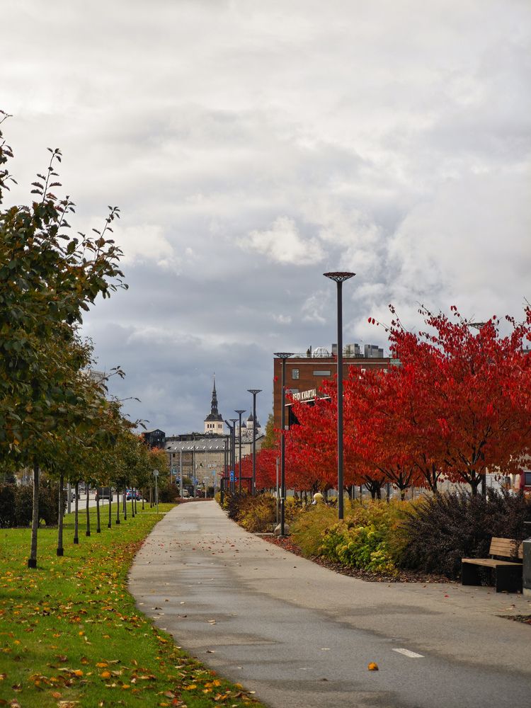 Photograph by Ljubov Trombovetskaja
