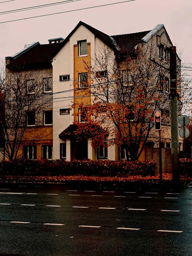 Photograph by Софья Копейкина