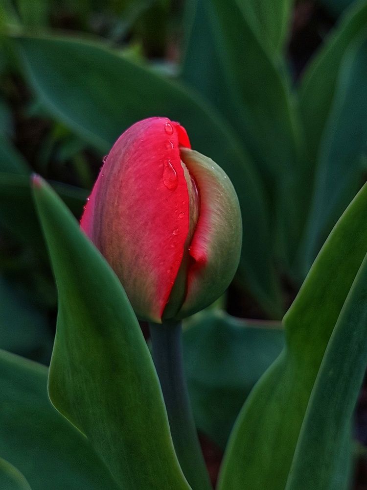 Photograph by Екатерина Баклыкова