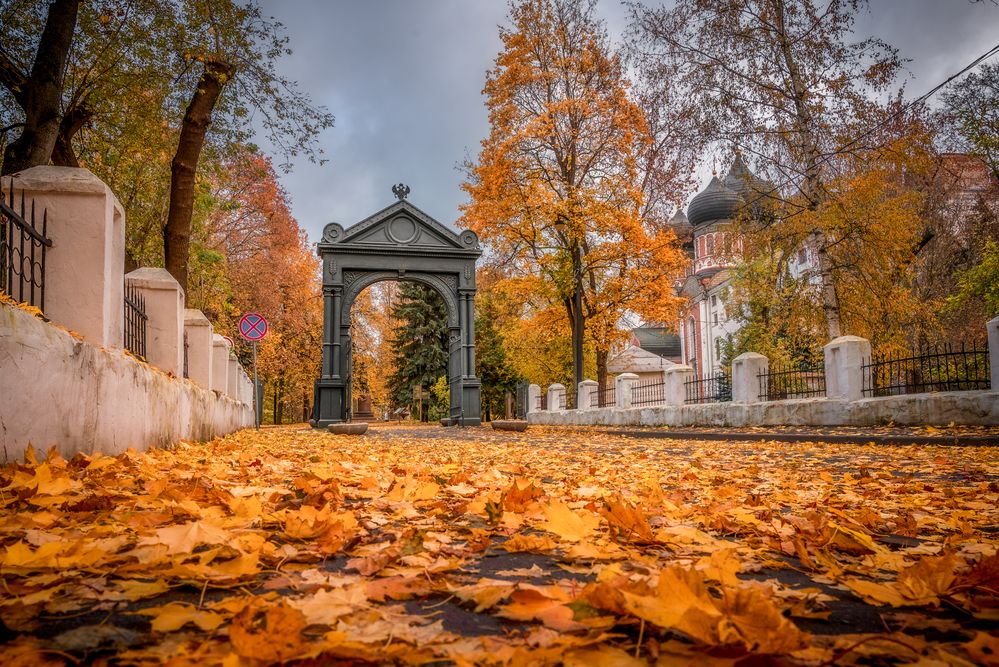 Фотография автора Сережин Сережа
