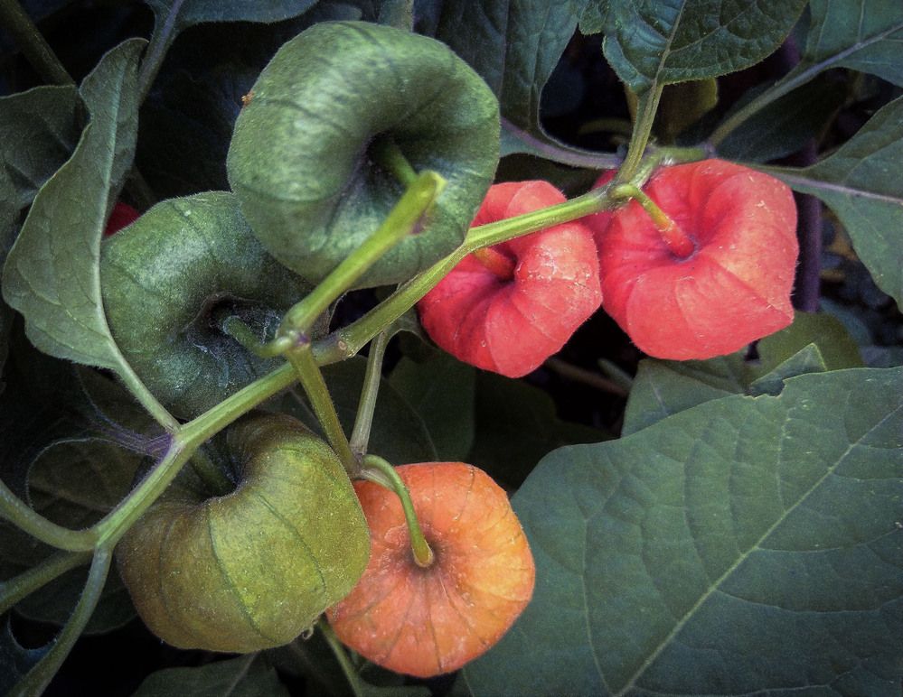 Photograph by Кобелева Евгения