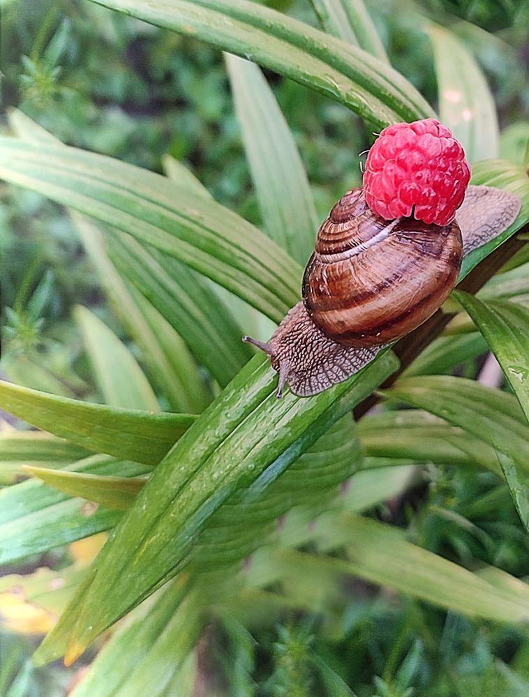 Photograph by Кобелева Евгения