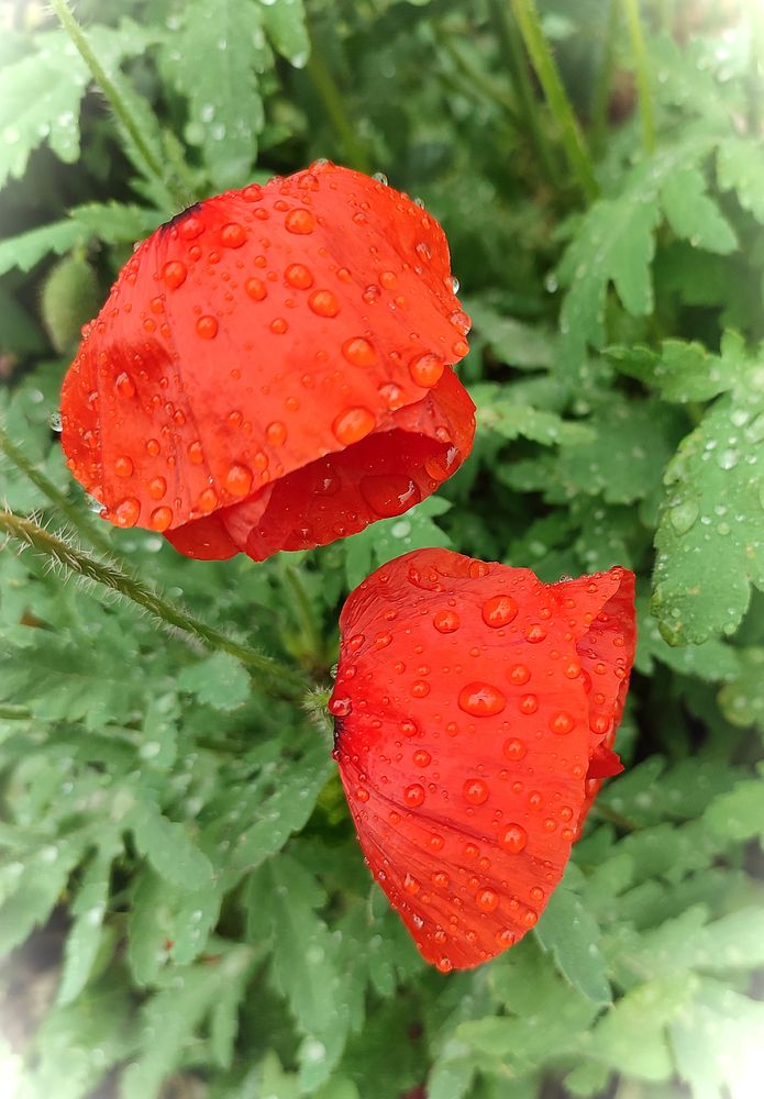 Photograph by Кобелева Евгения