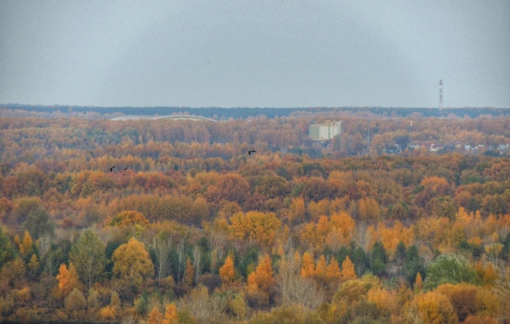 Photograph by Зыкова Мария