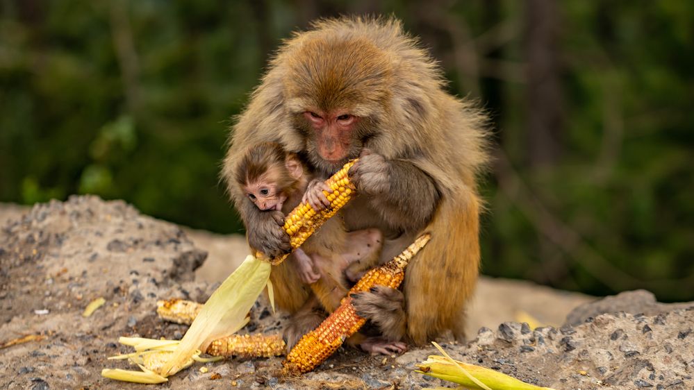 Photograph by Farrukh Sidddiqi