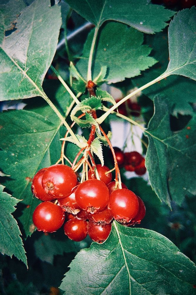 Photograph by Nadya Sterligova