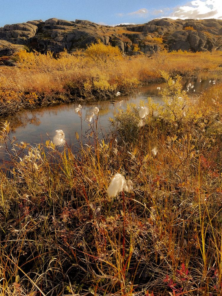 Photograph by Оксана Абакумова