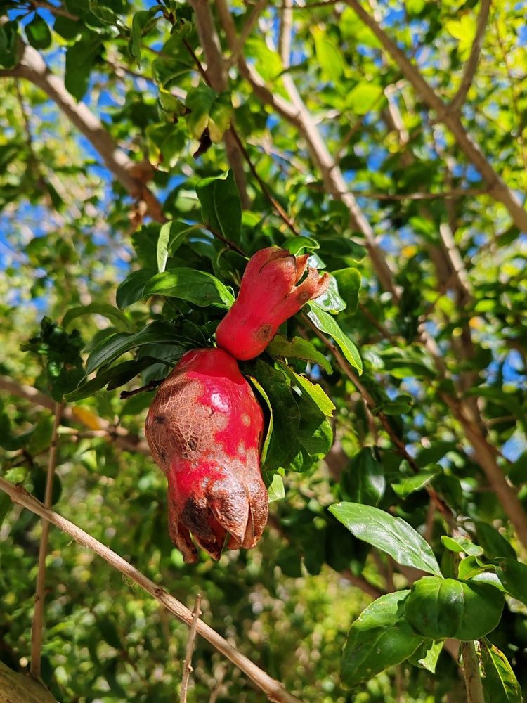 Photograph by Наталья Круглова