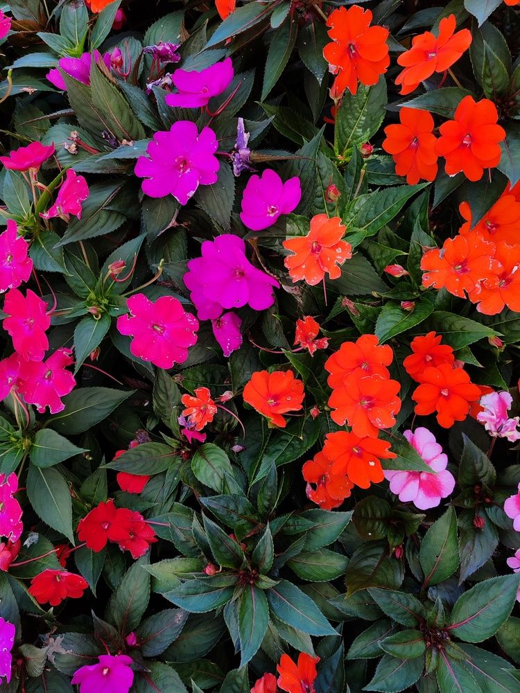 Photograph by Наталья Круглова