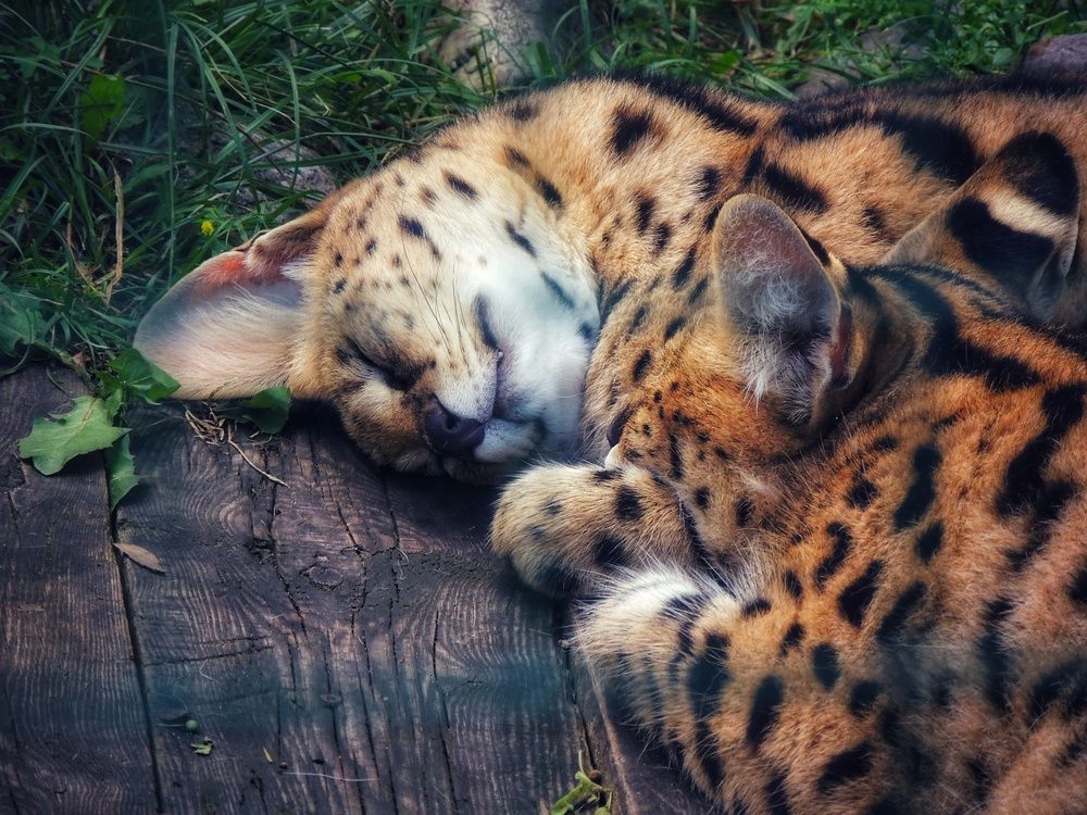 Photograph by Зыкова Мария