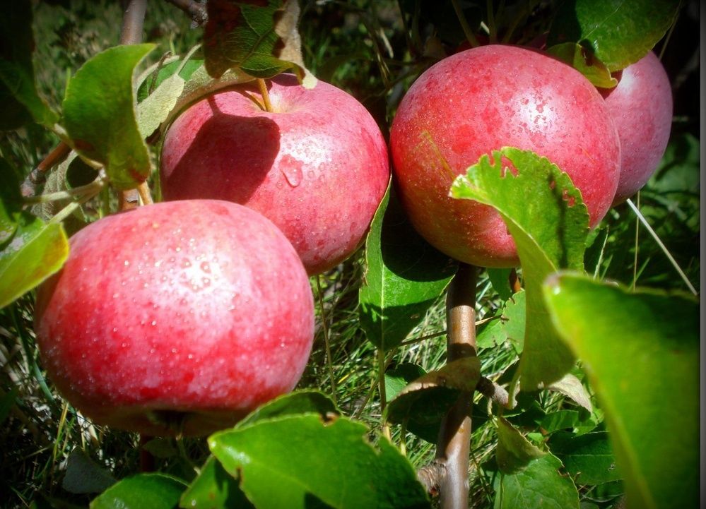 Фотография автора Павел Попов