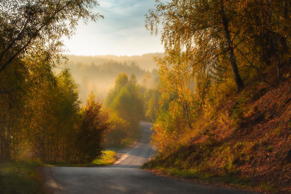 Фотография автора Романский Владимир (NikonZoom)