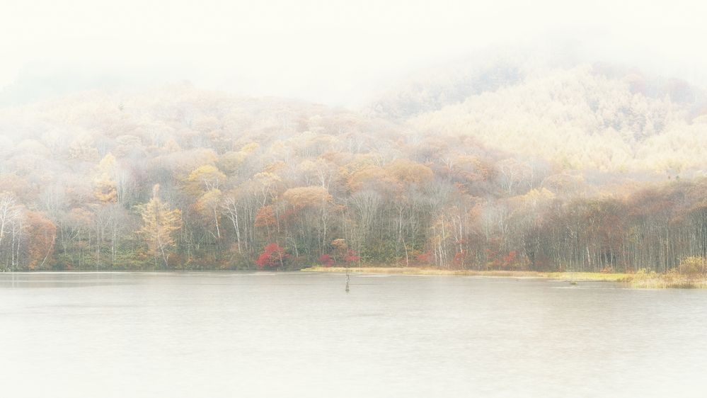 Photograph by TAMURA Kenta