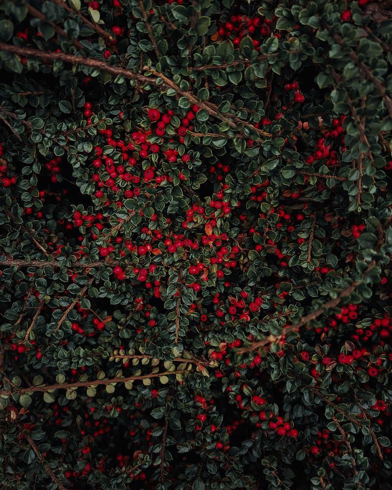 Photograph by Екатерина Сенько