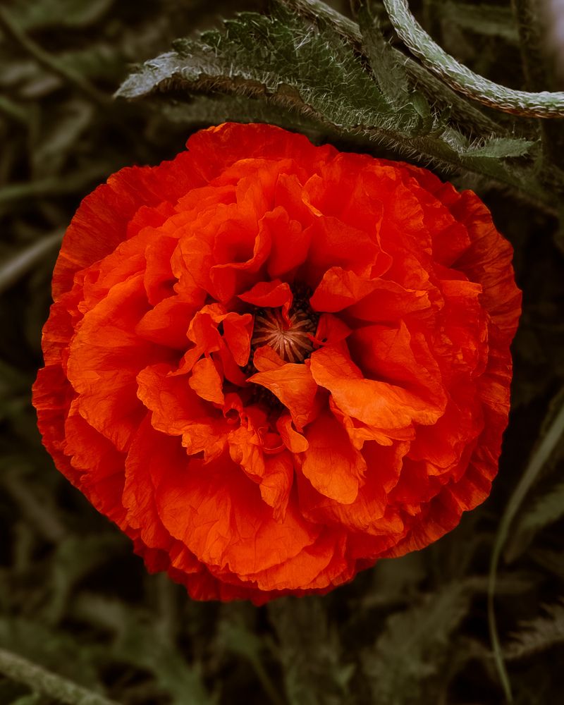 Photograph by Екатерина Сенько