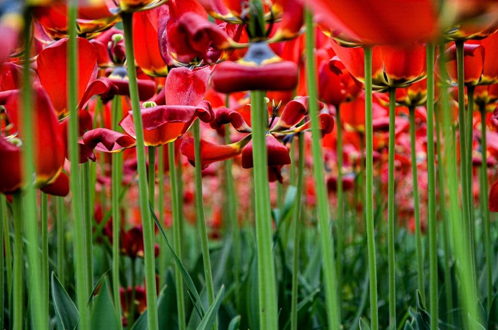 Photograph by Зыкова Мария