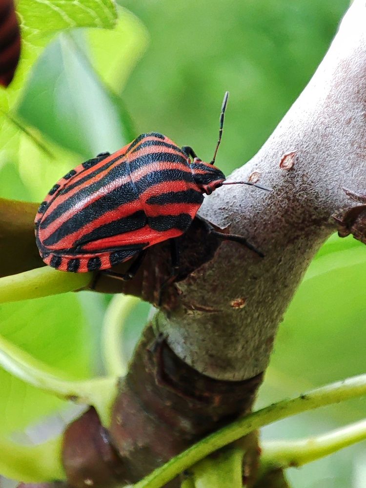 Photograph by Хоменчук Людмила