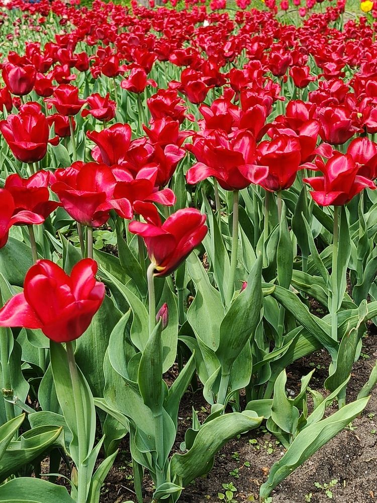 Photograph by Наталья Покрепина