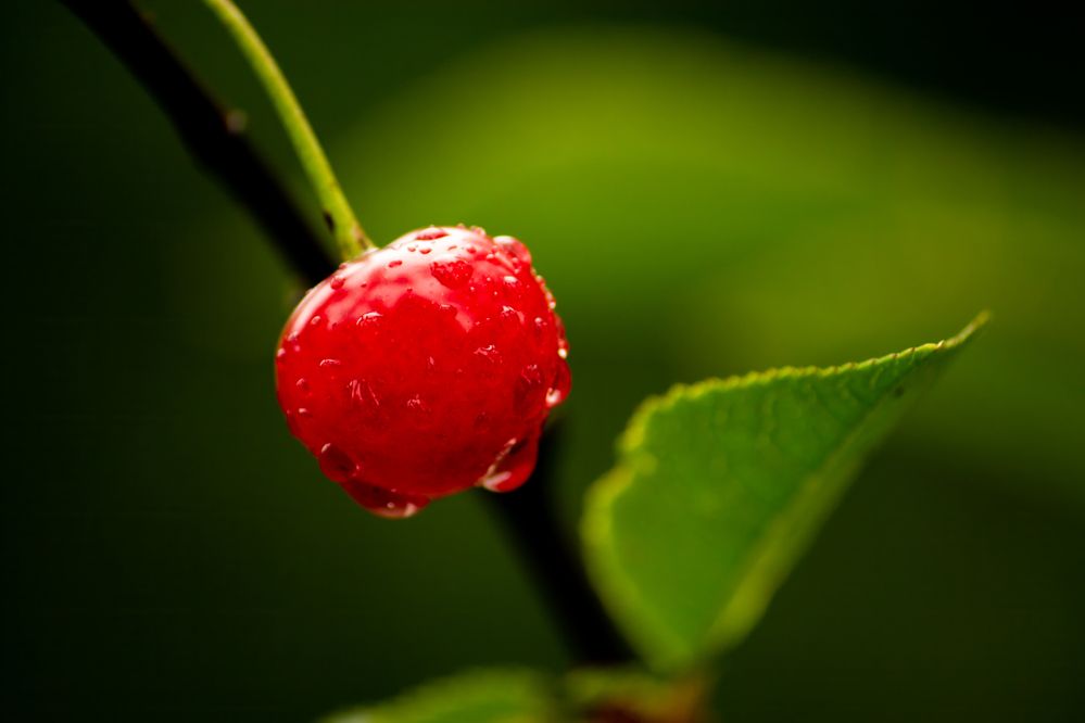 Photograph by Никита Иванов