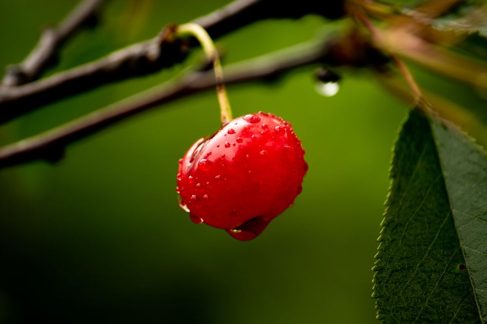 Photograph by Никита Иванов
