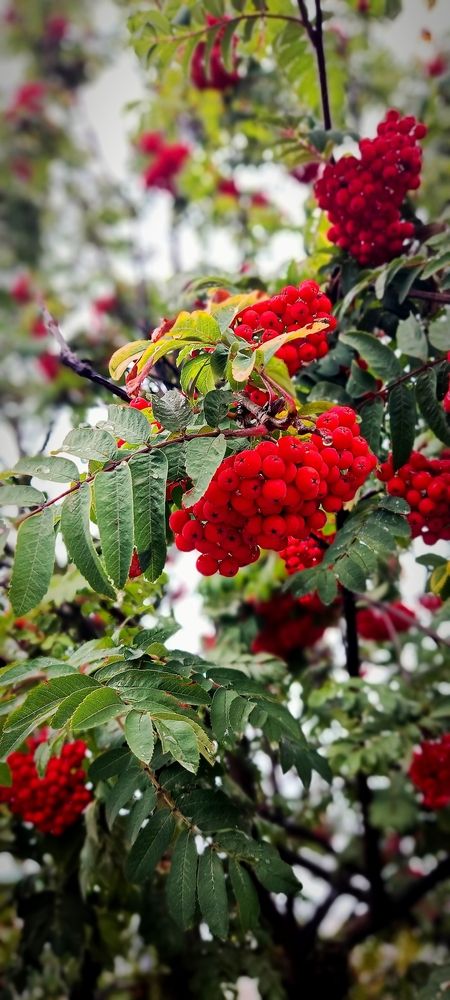 Photograph by Mishel Photographer