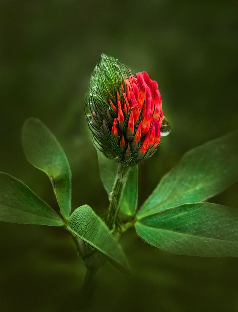 Photograph by Анастасия Семилетова