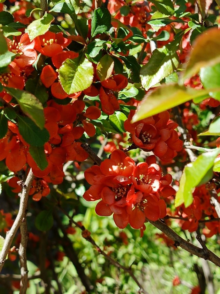 Photograph by Наталья Покрепина