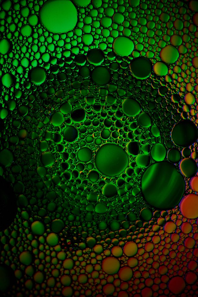 Photograph by Владислав Данилов