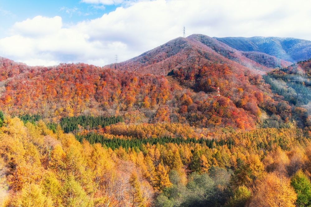 Photograph by TAMURA Kenta