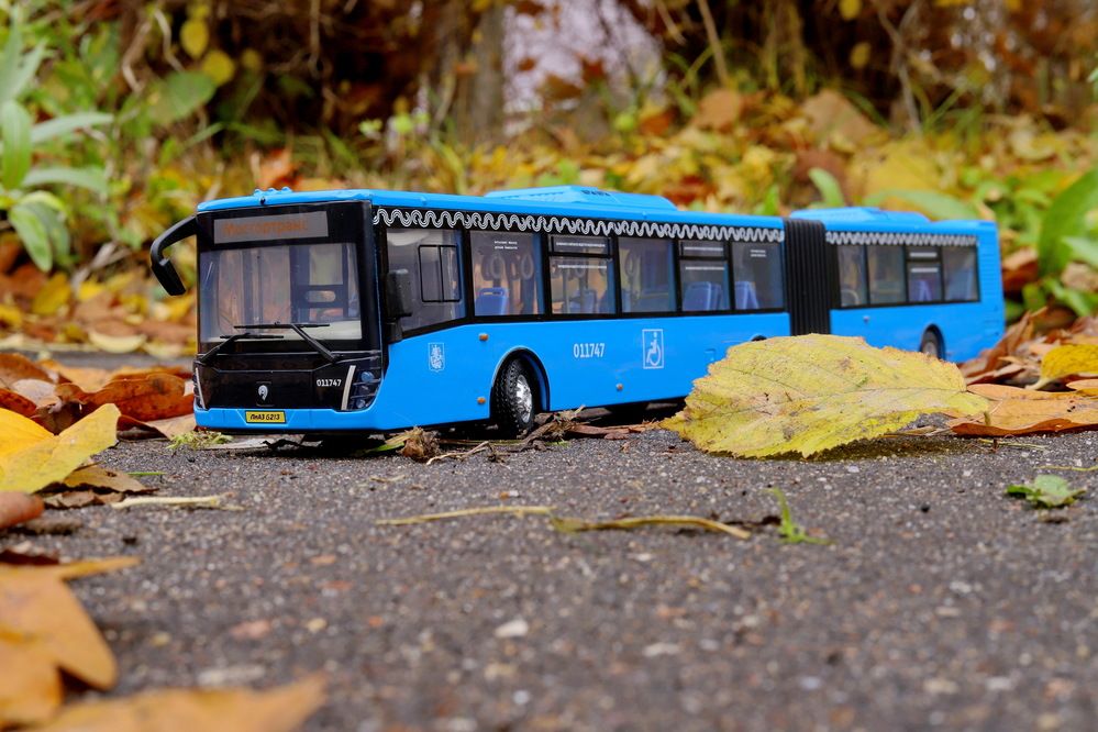 Фотография автора Илья К