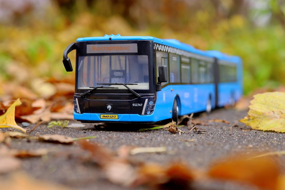 Фотография автора Илья К