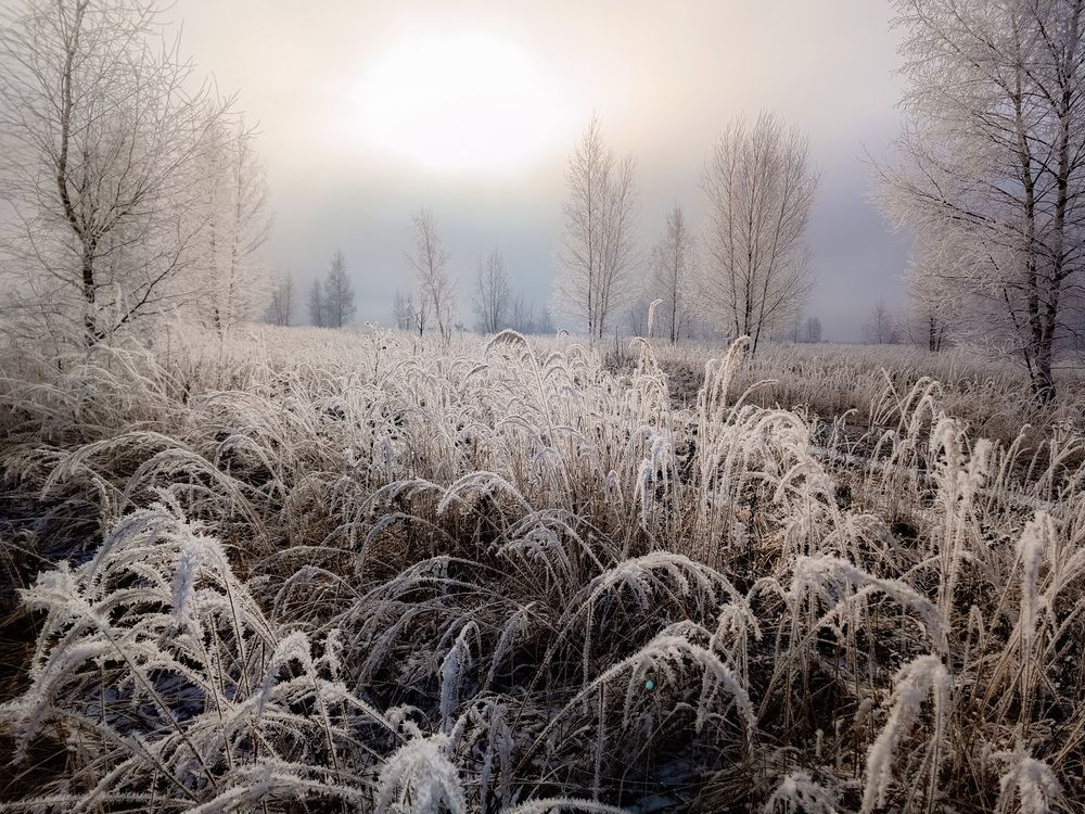 Photograph by Кондрашова Светлана