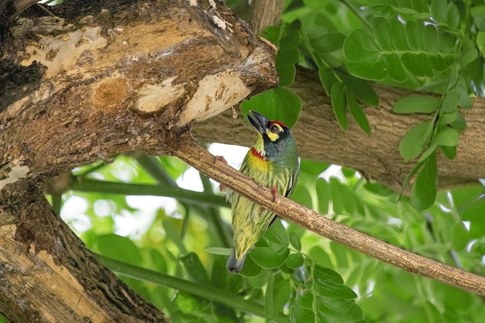 Photograph by Chau Nguyen