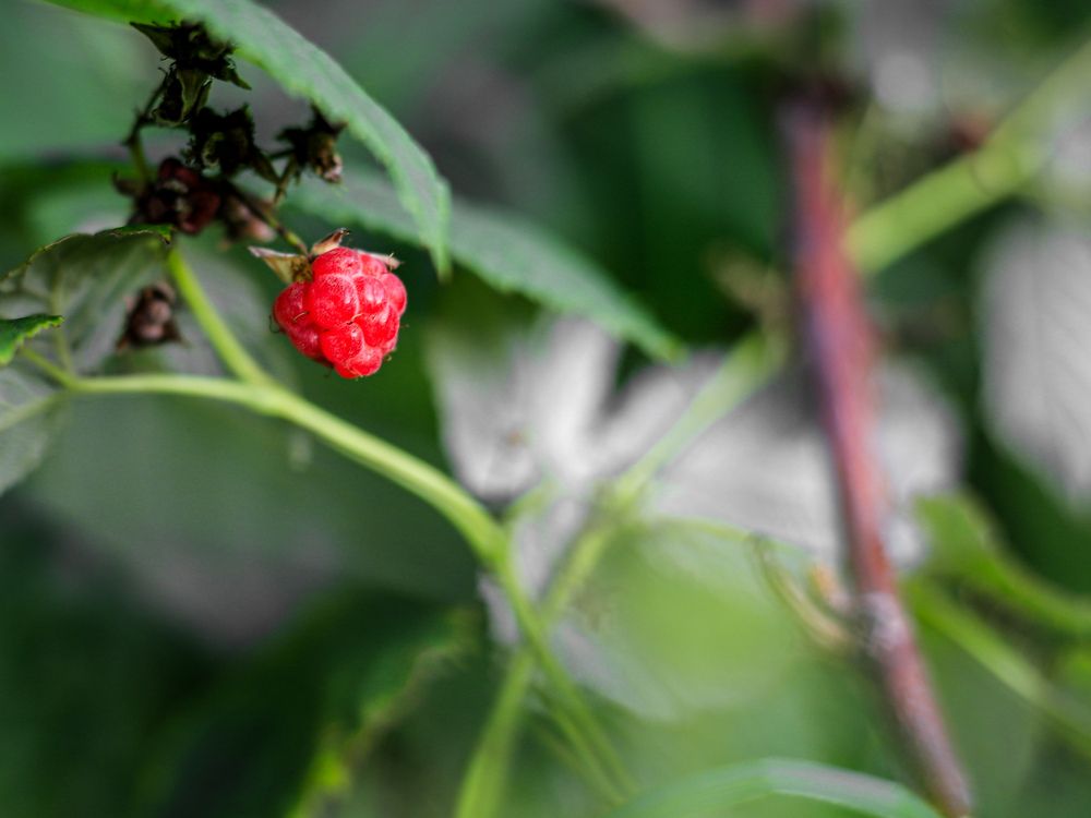 Photograph by Георгий Юркин