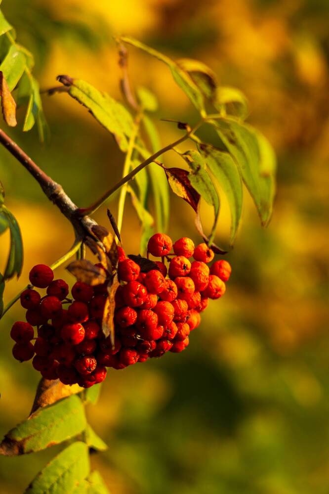 Фотография автора Aamoda Kitchen