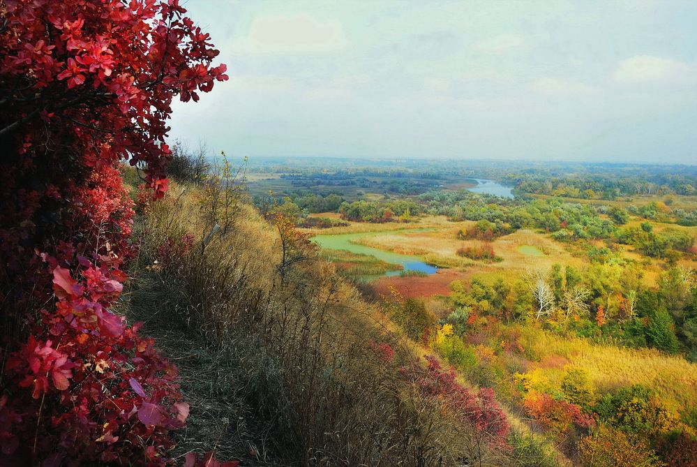 Фотография автора ВЛАДИМИР Тертышник