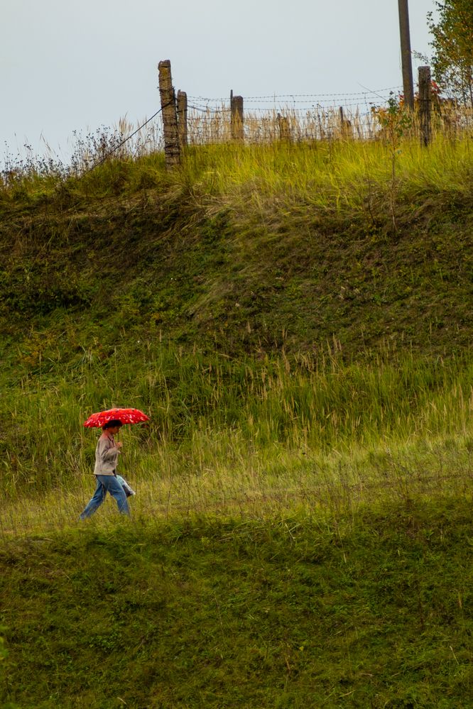 Фотография автора Aamoda Kitchen
