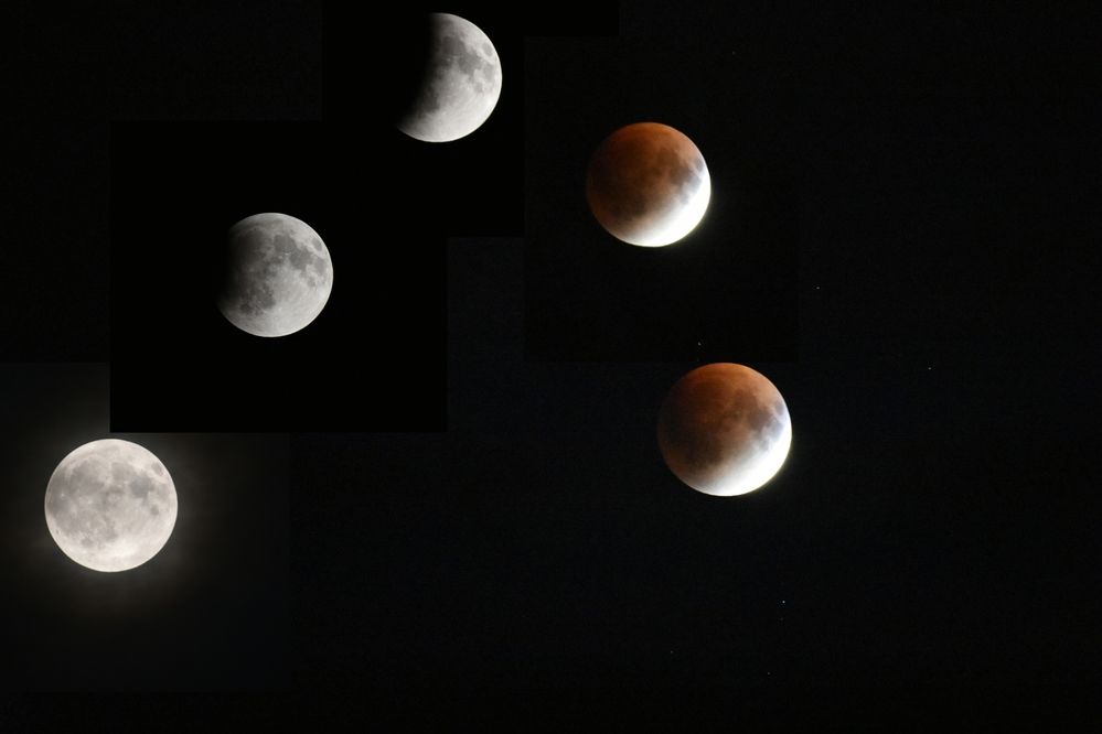 Photograph by AJAY KUMAR