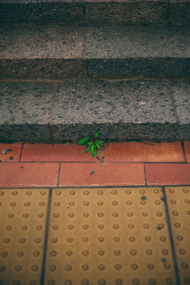 Photograph by Тагир Должиков