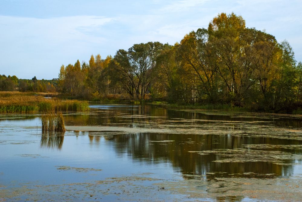 Photograph by Денис Колесников