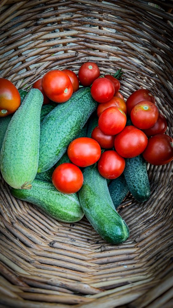 Photograph by Ekaterina Slepneva