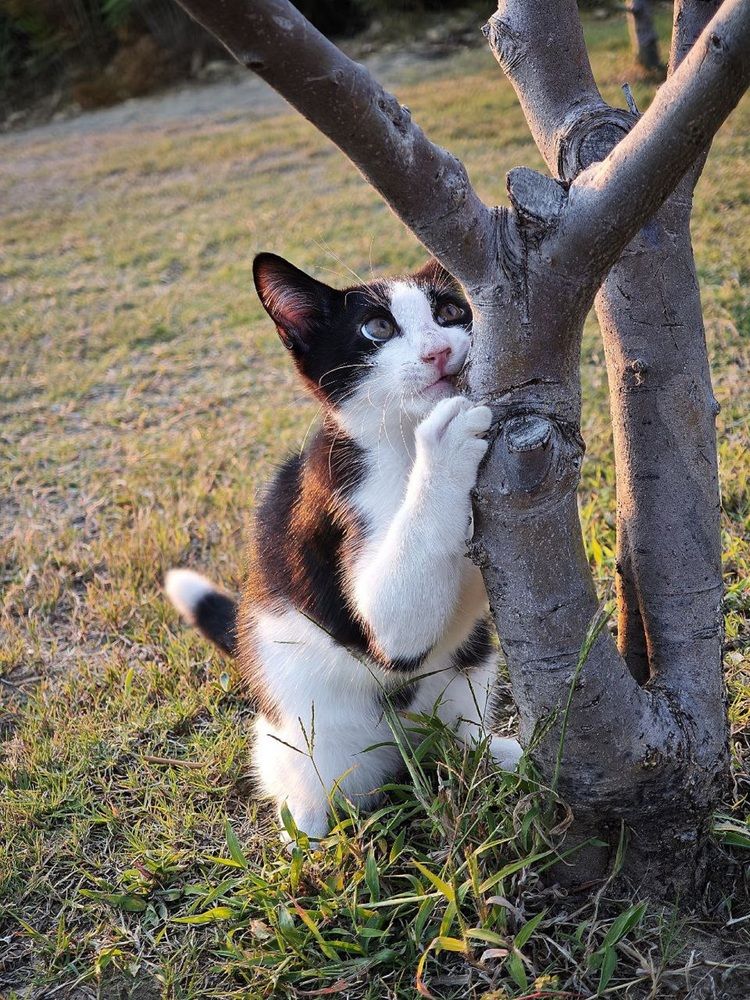 Фотография автора Natalya Firsova