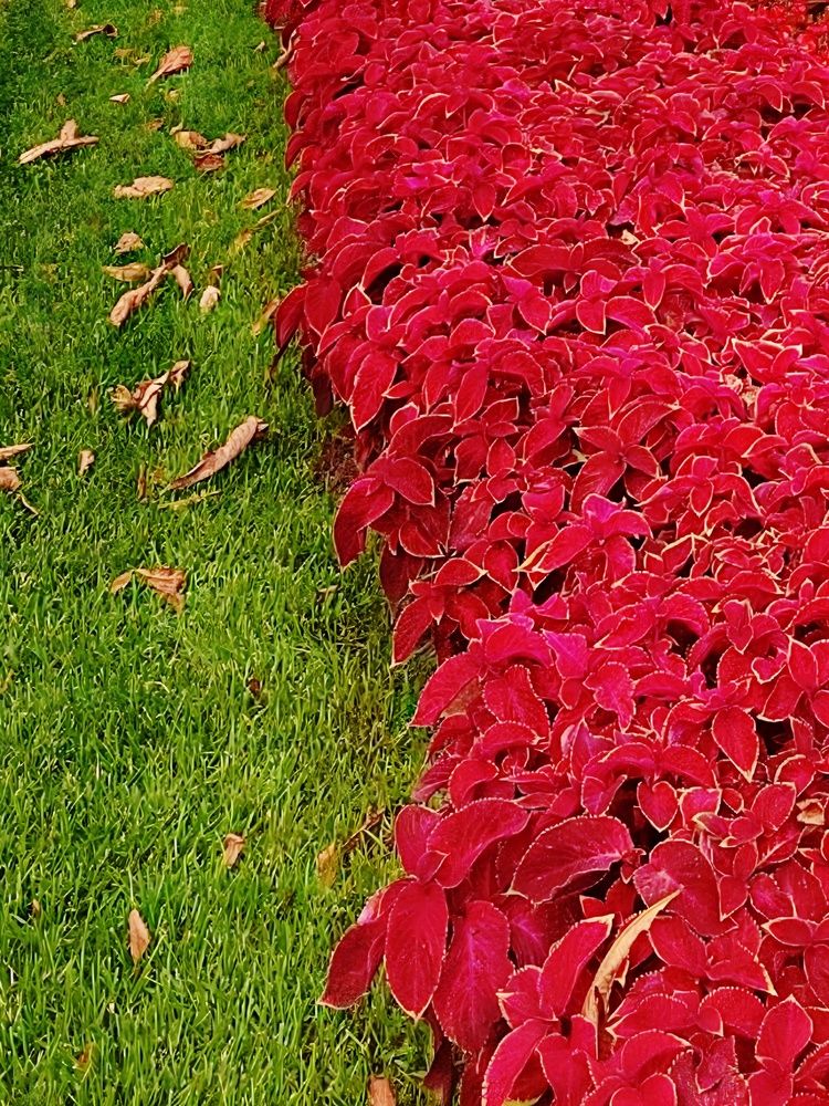 Photograph by Куделенко Оксана