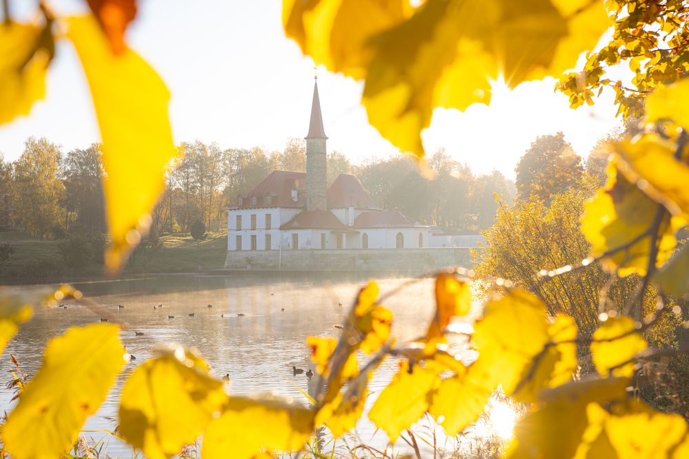 Photograph by Шапран Алёнка